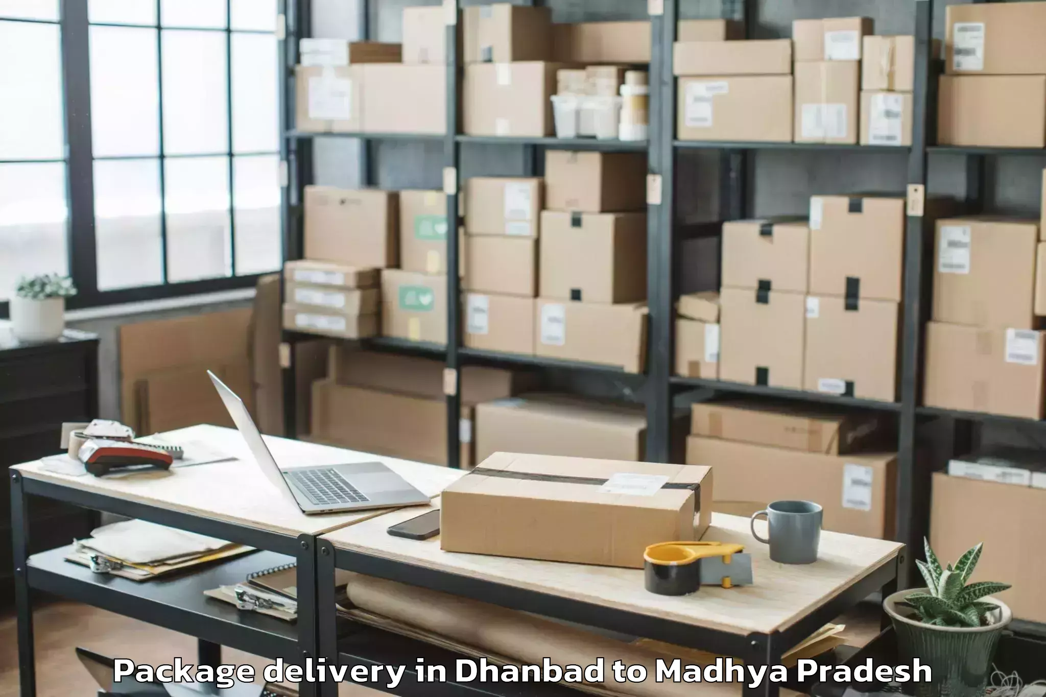 Hassle-Free Dhanbad to Pathariya Package Delivery